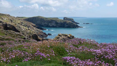 Pembrokeshire Islands