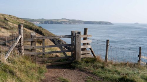 Guided wildlife walks with Peninsula Guides – Penrhiw Priory