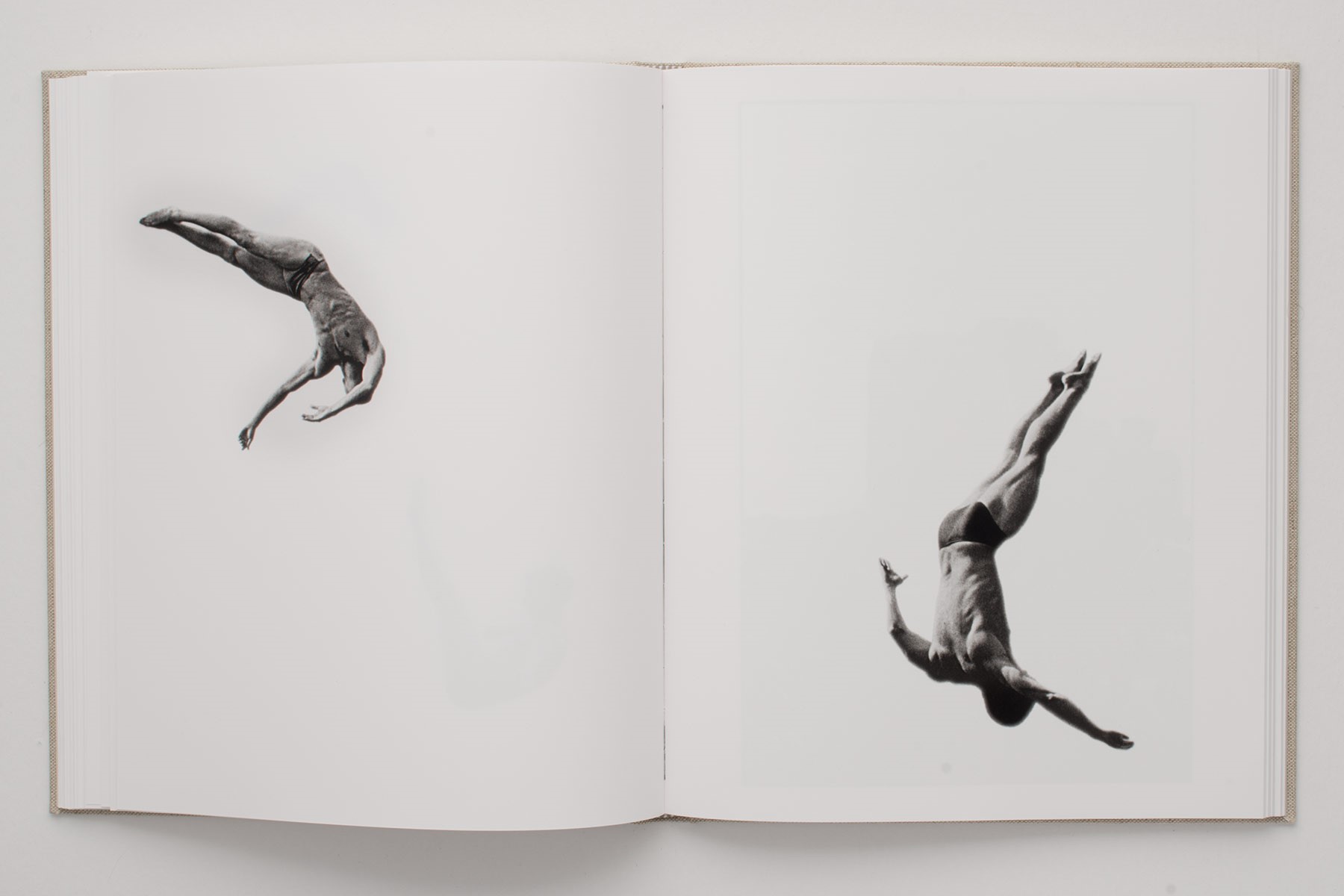 Divers (Pebidiog) <span>by Marcus Oleniuk</span>