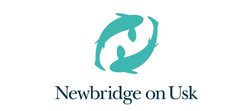 newbridgeonusk.com