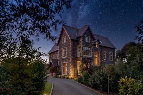 A Night Beneath the Stars