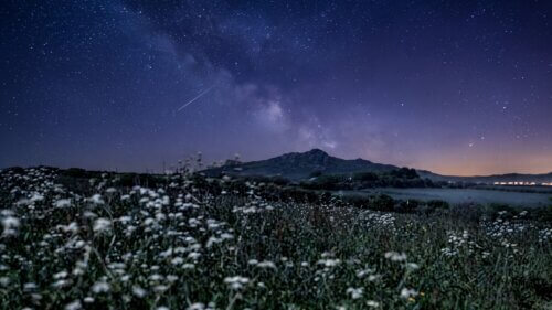 Stargazing Hamper